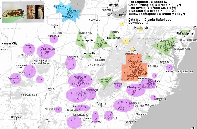 May 30 map - Now with Brood V