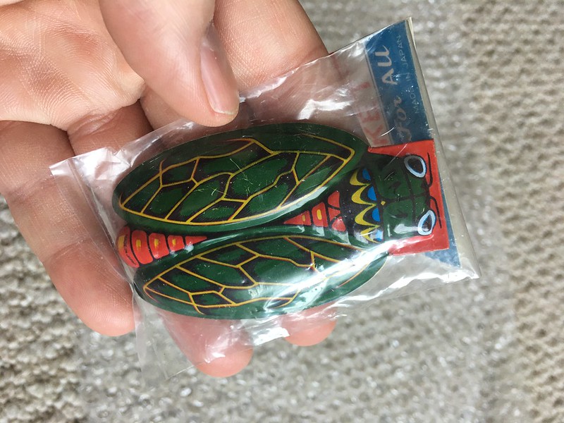 Cicada click toy