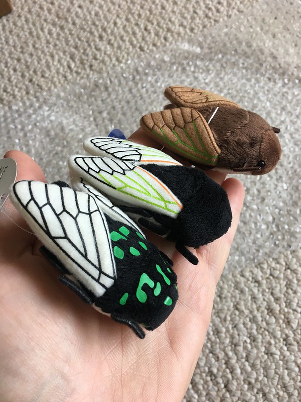 Plush cicada toys from Japan