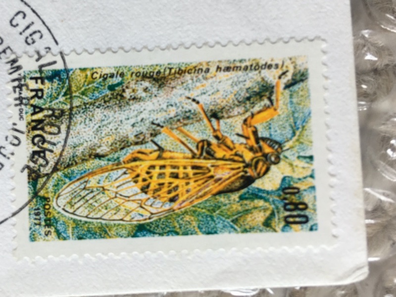 Tibicina haematodes (Scopoli 1763) stamp from France