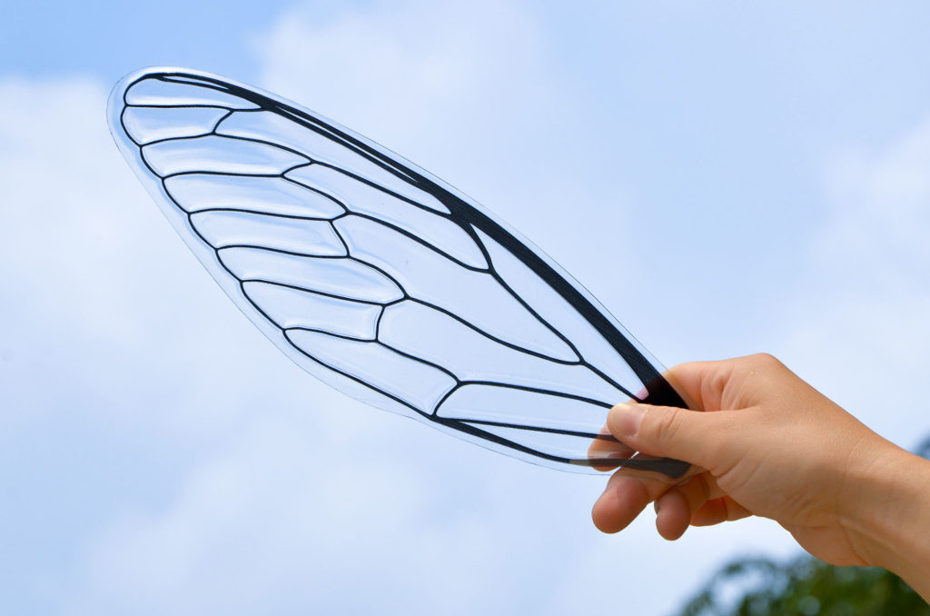 cicada wing fan