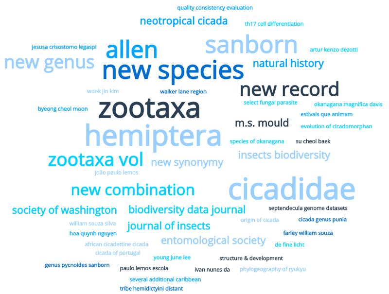 Cicada Research Wordcloud