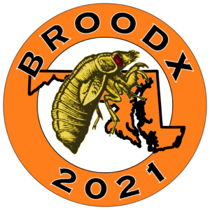 Brood X 2021 Maryland