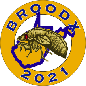 Brood X 2021 West Virginia800