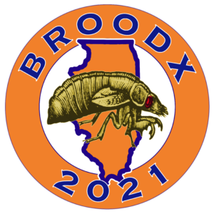 Brood X Illinois