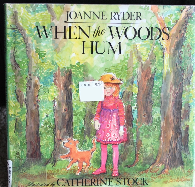 When the Woods Hum by Joanne Ryder illustrated by Catherine Stock