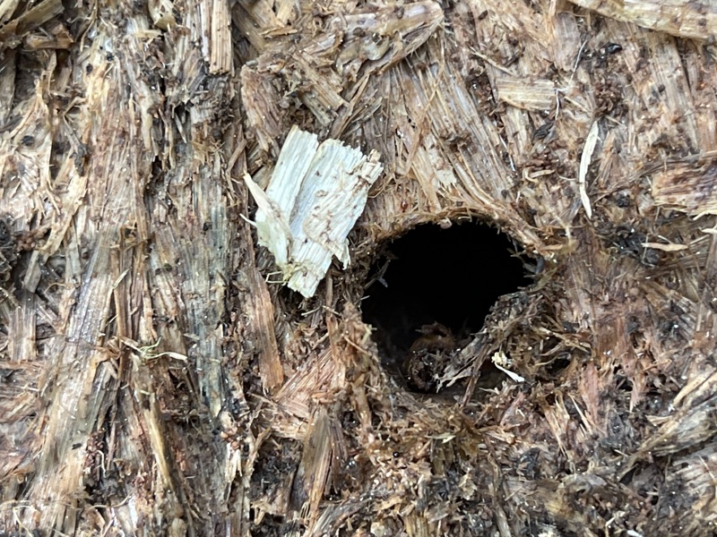 Hole in Hay