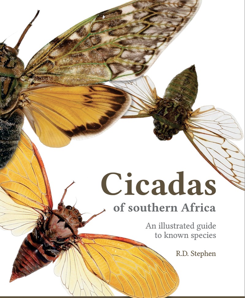 R.D. Stephen's Cicadas of southern Africa