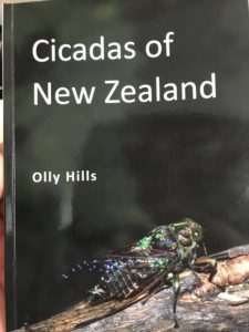 Cicadas of New Zealand