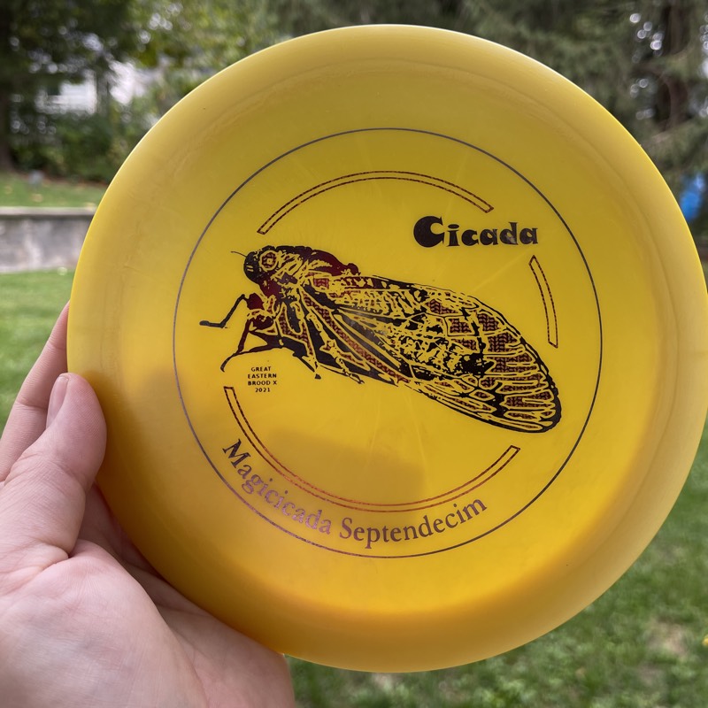 Brood X Frisbee