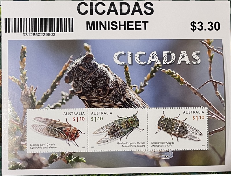 Cicada Stamp Set