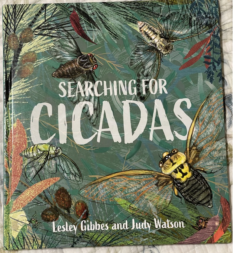 Searching for Cicadas