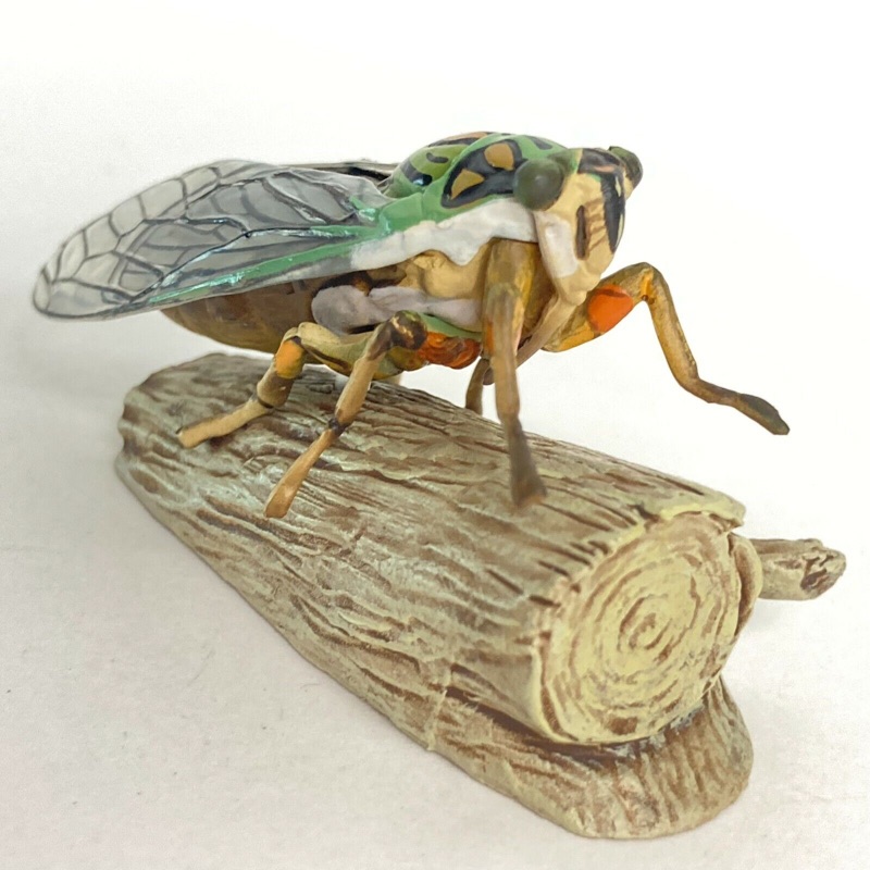 Weekly Japanese Natural Monument Mini Figure #41 Himeharu-Zemi Cicada Kaiyodo
