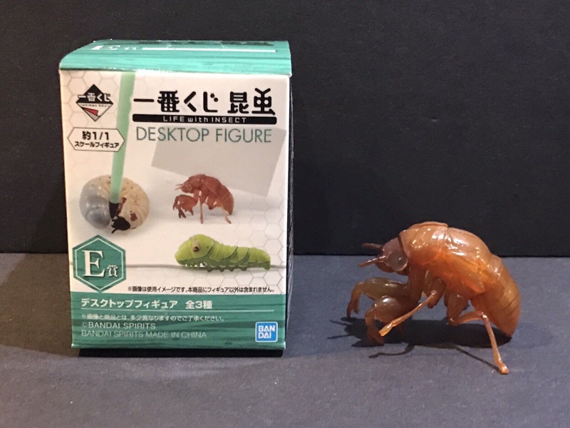 Bandai 1:1 Japan Exclusive Cicada Molt Shell Beetle Insect Bug Prize E Figure