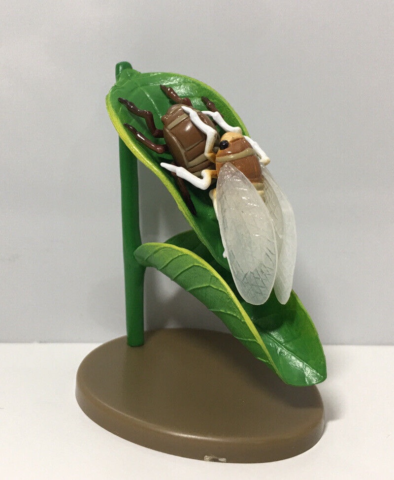 Kaiyodo Kabaya Large brown cicada (Graptopsaltria nigrofuscata) Insect Figure
