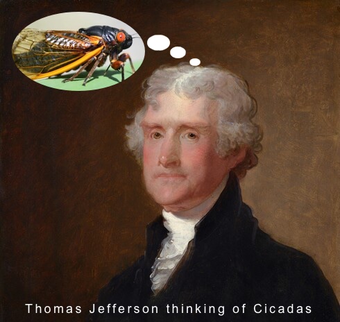 Thomas Jefferson thinking of the cicadas he just bought.