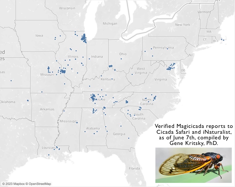 Kritsky map June 7