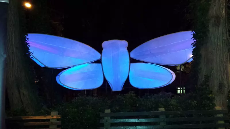Light Up Cicada Sculpture at the Staten Island Museum by Roy Troutman