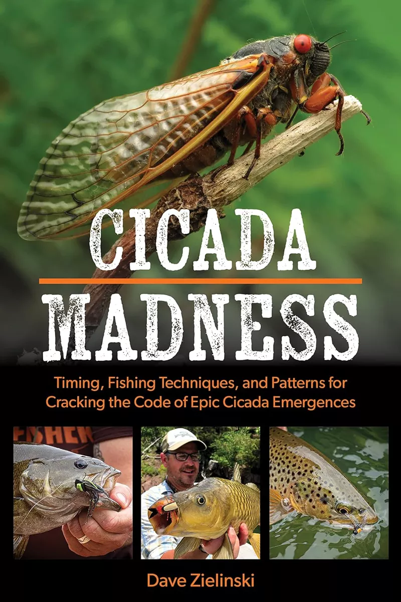 cicada madness