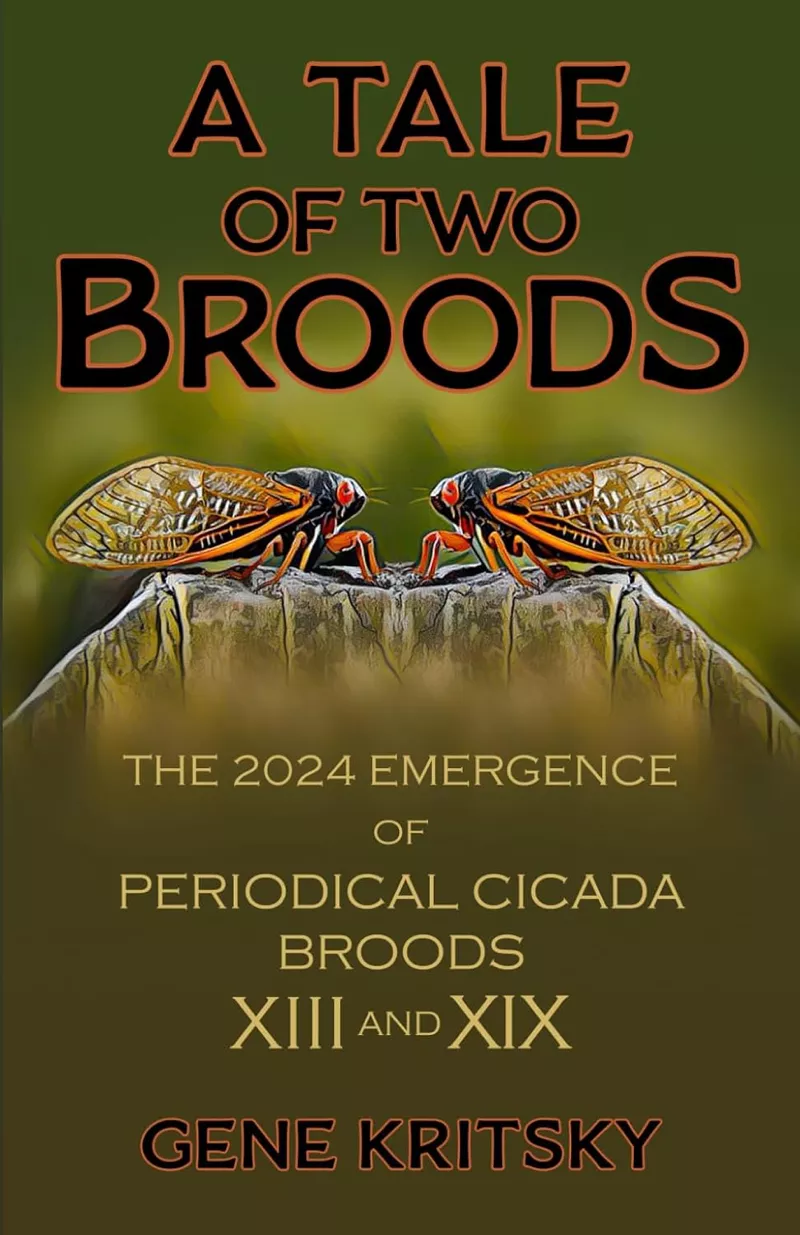 A Tale of Two Broods: The 2024 Emergence of Periodical Cicada Broods XIII and XIX