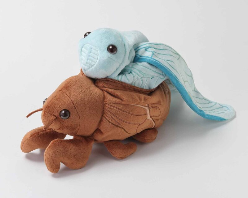  Nymph Plush 