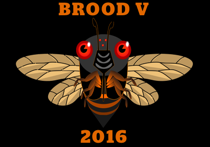 Brood V